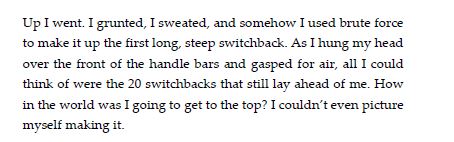 Alpe d'Huez Book Snippet 2