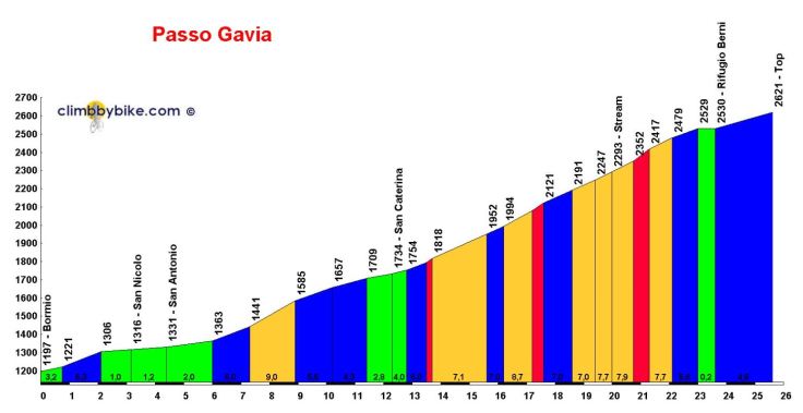 Gavia Profile 1.JPG
